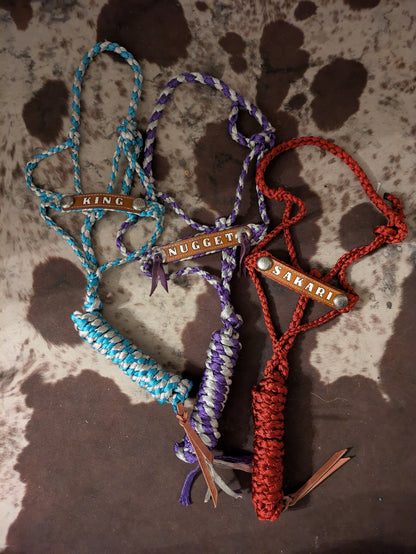 Custome Mule Tape Halters