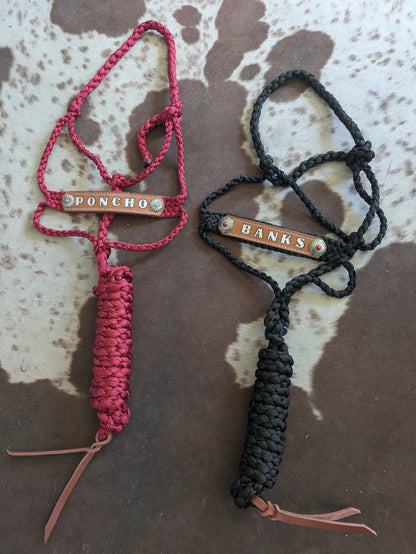 Custome Mule Tape Halters